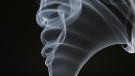 slow motion: cute curly of smoke on a black background