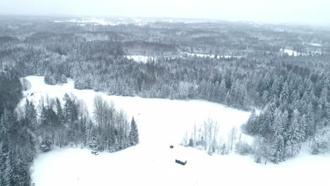 Wunderschönes-Winterwunderland,-Gefrorener-Nadelwald,-Luftaufnahme-In-Vorwärtsbewegung