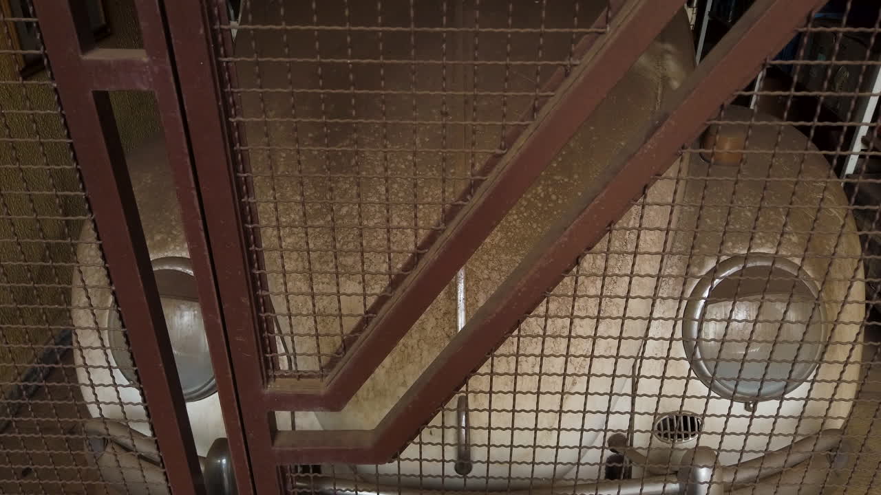 escarabajo todo polvoriento detrás de la puerta de la parrilla