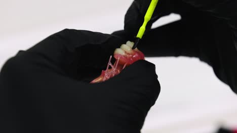 extreme closeup of dental technician putting final gloss on prosthetic teeth