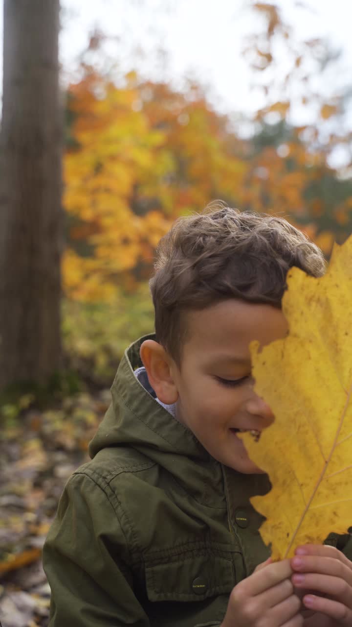 niño feliz en el bosque
