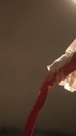 aerial silk performance
