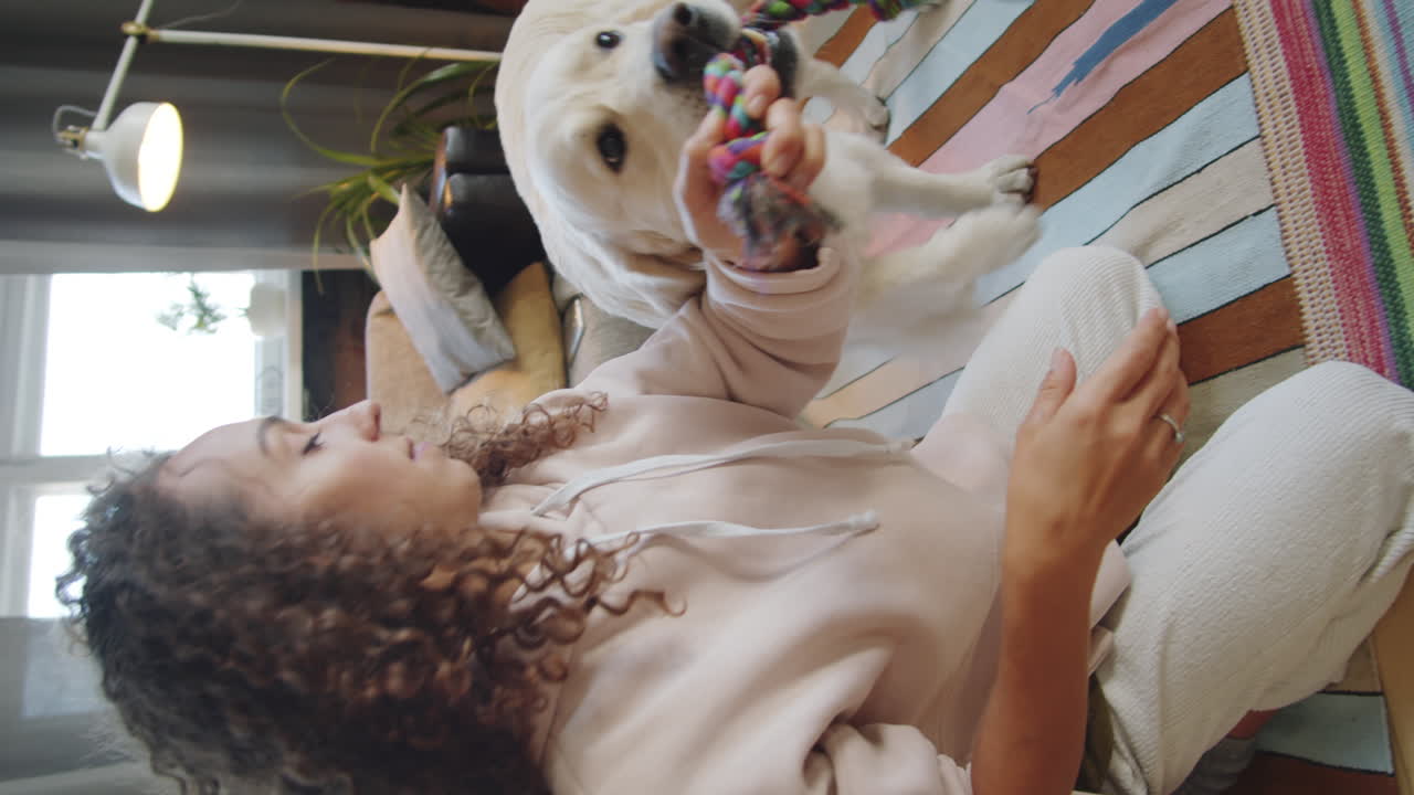 집 에서 골든 리트리버 와 함께 놀고 있는 여자