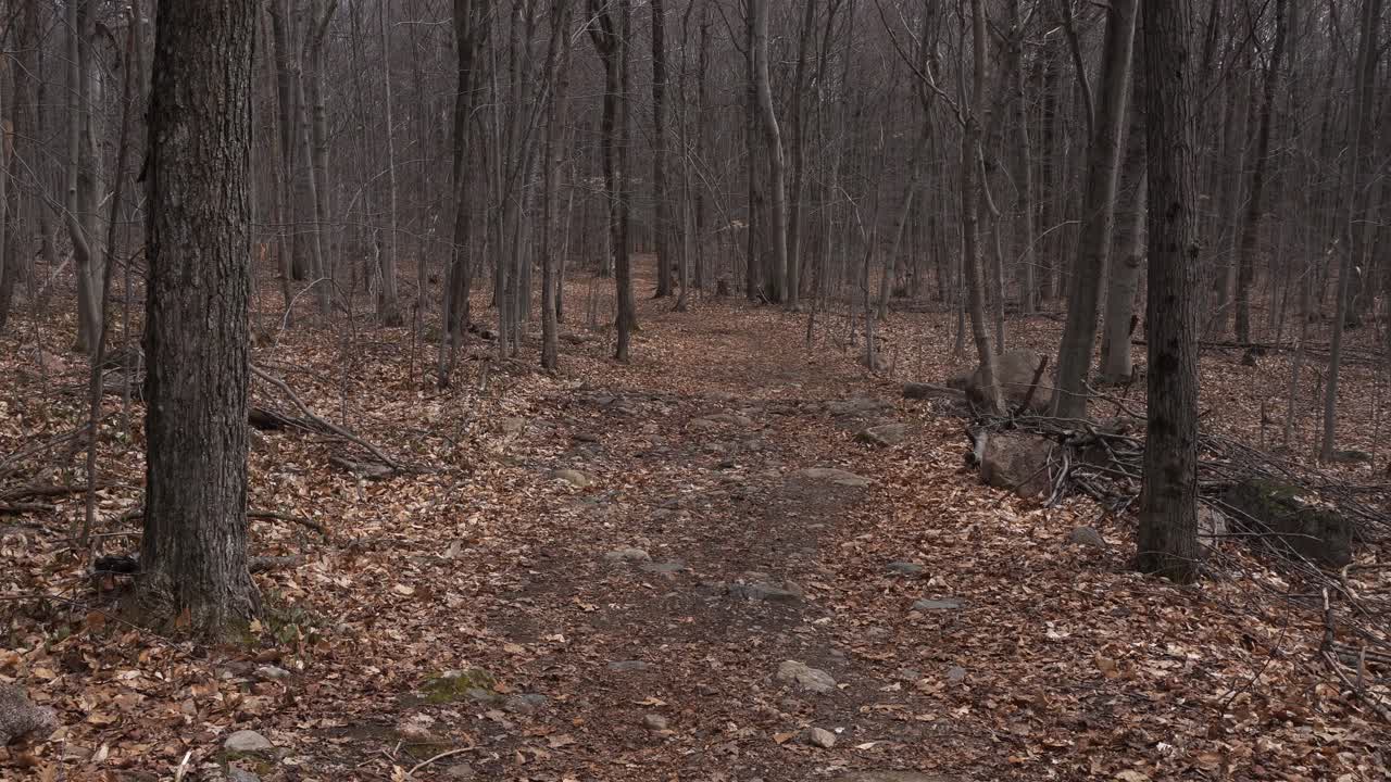 A trail in a mountain at the beginning of spring featuring many leafless trees, rocks, and dead leaves on the ground.