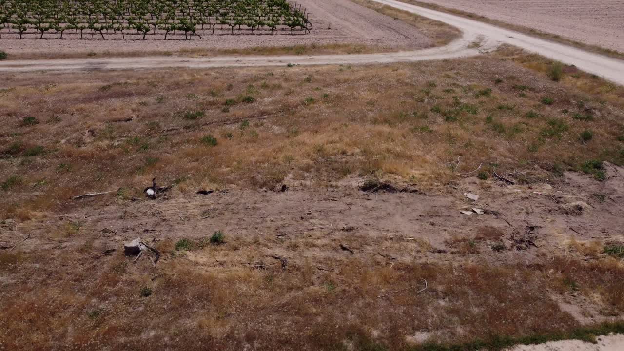 декорации на открытом воздухе для мероприятий, взгляды с воздуха