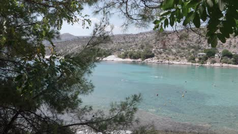 a nice view of the aegean sea, shot through some trees. you can see people swimming in the water, and the nice colour that the sea has. shot next to alyki beach in thasos, greece.
