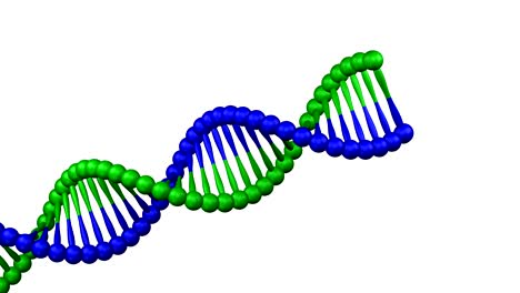 creation of a dna molecule.