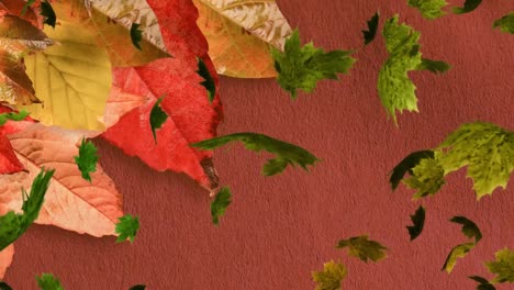 Animation-of-multiple-autumn-leaves-falling-on-brown-background