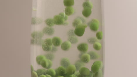 guisantes verdes cayendo en el agua filmado en 4k y crudo con estilo cinematográfico sobre un fondo blanco
