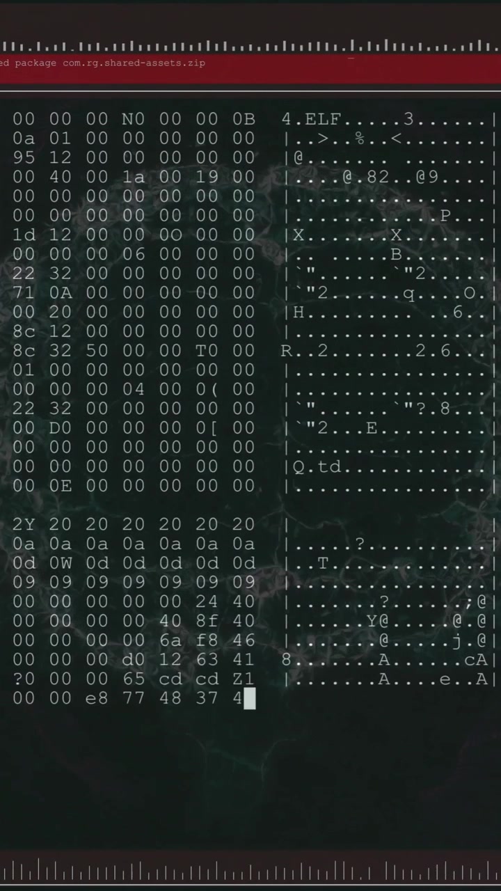 Animation of numbers, computer language in terminal interface with human brain over black background