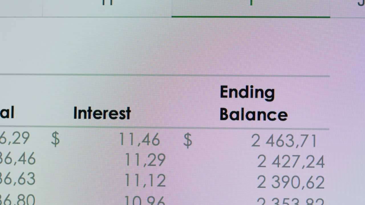 Close-up of Financial Spreadsheet Data on Computer Screen