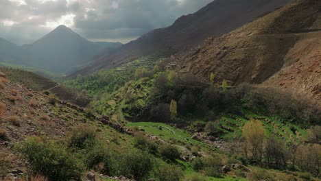 green agricultural tacheddirt valley in high atlas mountains, morocco