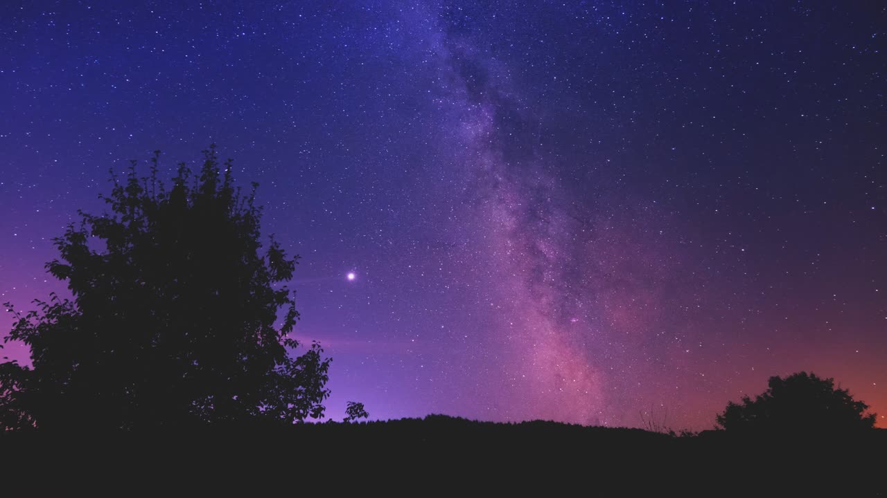 실루 나무 위의 우유의 길