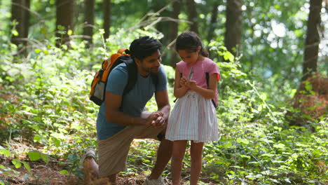 father with daughter looking at feather on walk through summer woodland countryside