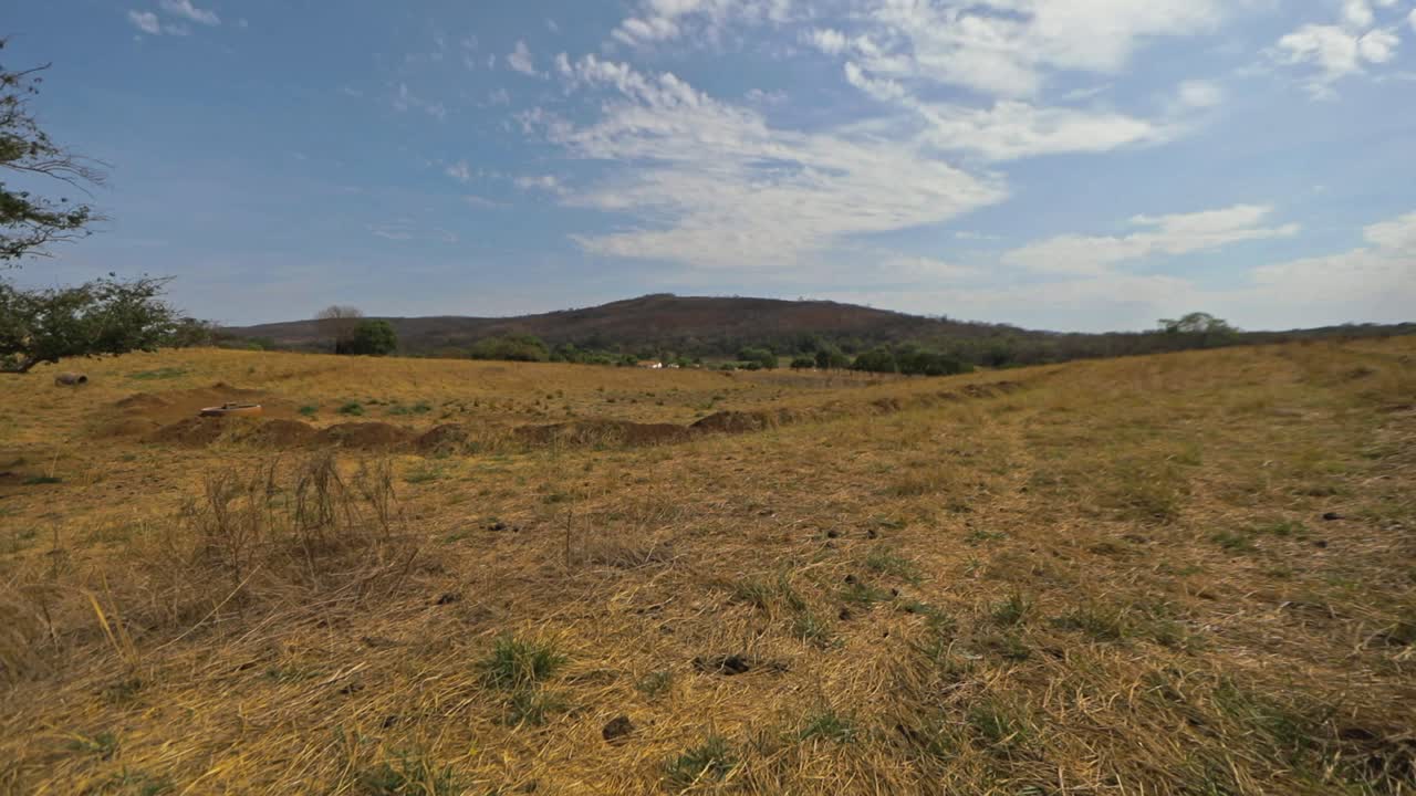 tierra seca con hierba seca y árboles y colinas cercanas y cielo azul, toma panorámica de la cámara