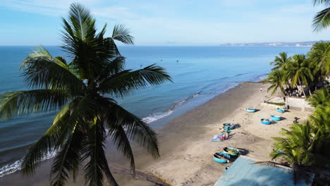 palm tree in exotic sandy coastline of vietnam, aerial view