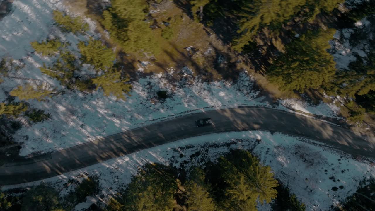 겨울에 눈이 내리는 자연의 울창한 소나무 숲을 가로질러 굽이치는 모험을 즐기는 블랙 suv 자동차를 따라 빠른 탑다운 공중