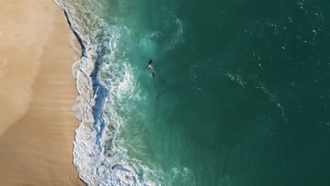 Slow-motion-shot-of-diver-practicing-diving-by-the-beach-accompanied-by-waves-on-Oahu-Hawaii-beach--top-view