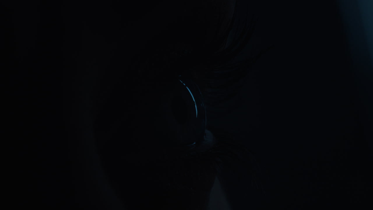 macro ojo de cerca que revela el ojo humano con reflejo en el iris