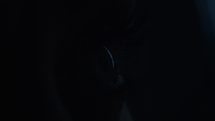 close up macro eye light revealing human eye with reflection in iris