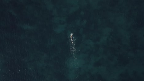 surfer swimming on surfboard in sea