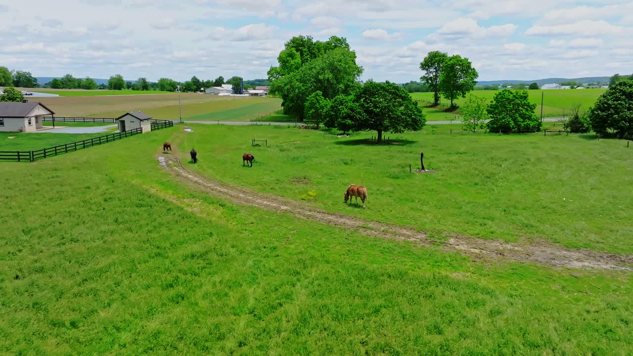 Aerial shot of a picturesque Amish farm with horses grazing, in rural Pennsylvania with green fields and blue sky atmospheric lighting captivating scenes vibrant colors rich detail