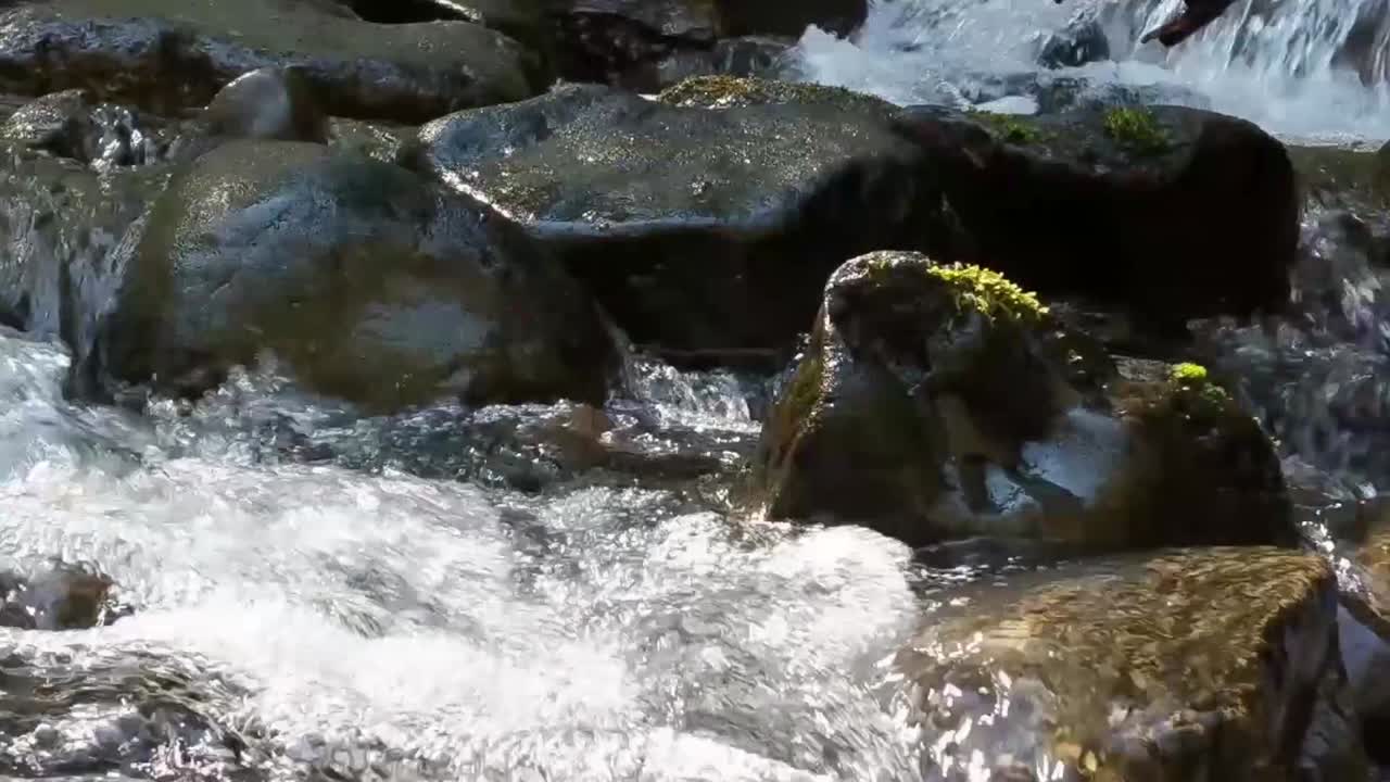 cascada de agua sobre rocas cubiertas de musgo en un arroyo de montaña en un cálido día de primavera