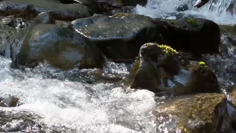 water cascading over moss covered rocks in a mountain stream on a warm spring day