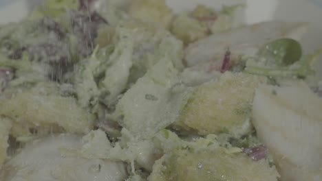 caesar salad close-up