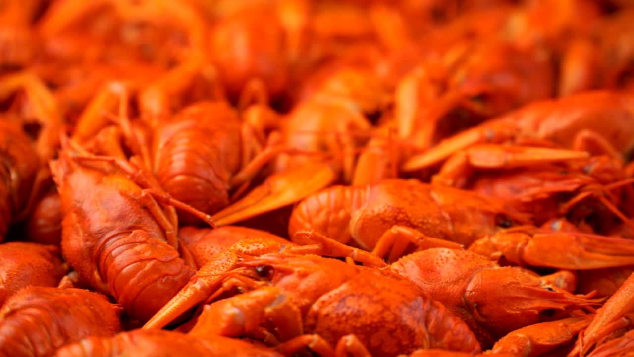 은 인 크라프시 클로즈업이 트레이에 회전하는 영상