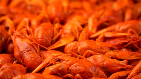 imágenes de cangrejo rojo cocido en primer plano girar en una bandeja
