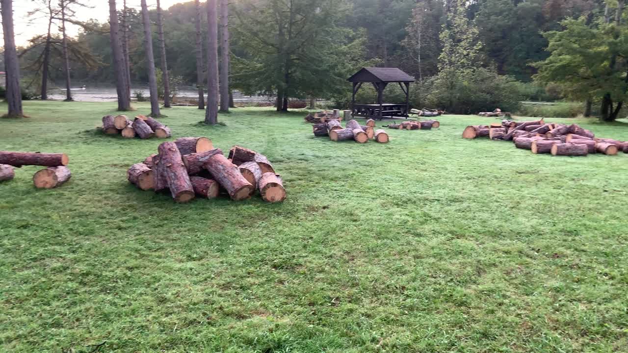 бревна из сосновых деревьев