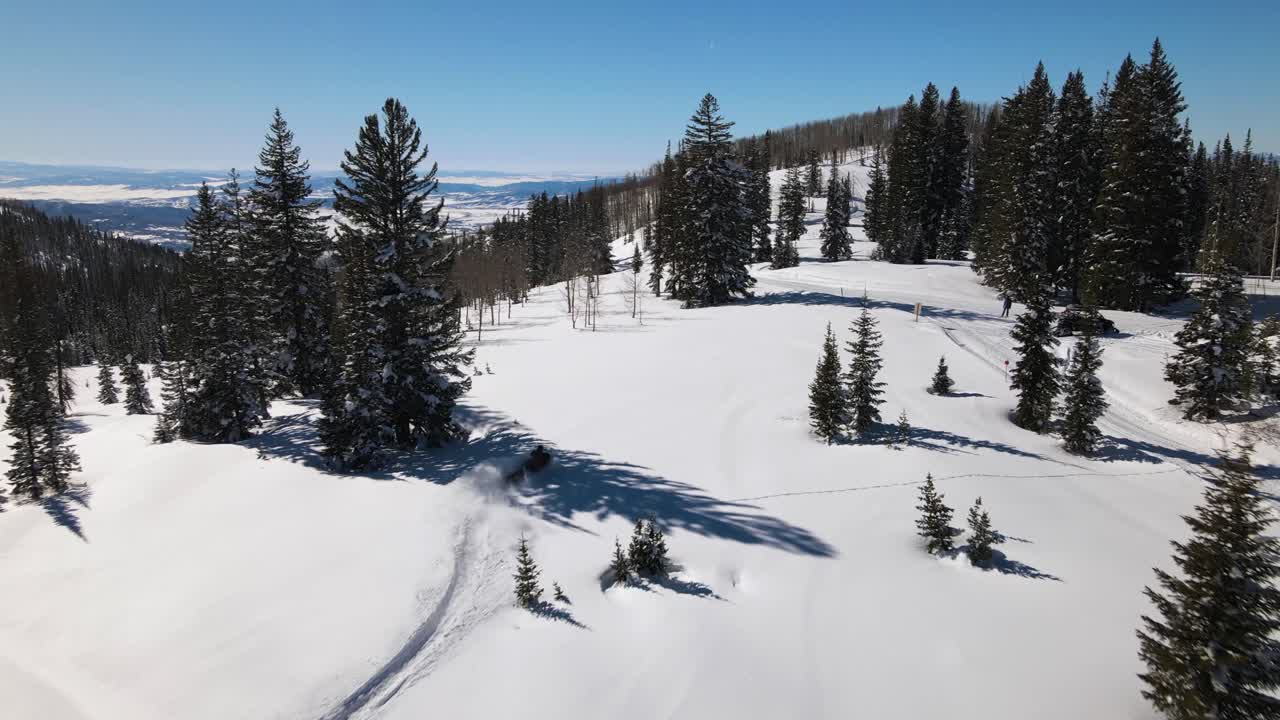 Eccellente vista aerea di un uomo che guida una motoslitta tra i pini su una montagna