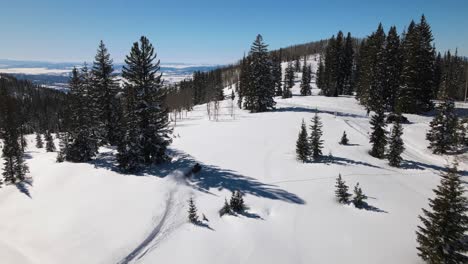 Excellent-Aerial-View-Of-A-Man-Driving-A-Snowmobile-Past-Pine-Trees-On-A-Mountain