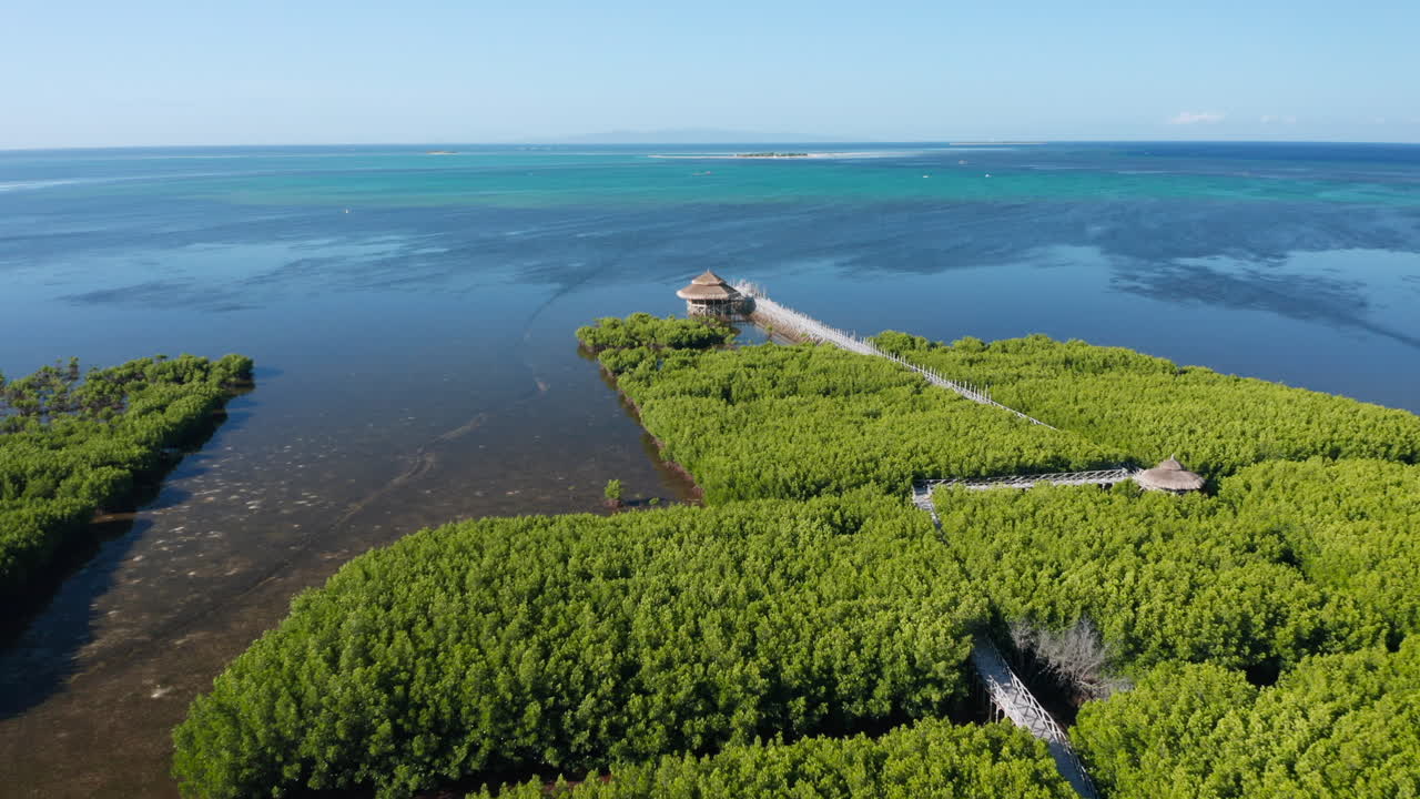필리핀 보홀에 있는 맹그로브와 대나무 다리의 공중 기울기