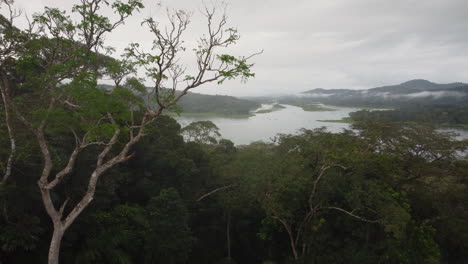 Slow-forwarding-shot-towards-a-lake-through-branches-and-tree-tops-on-a-cloudy-day-with-a-scenic-background