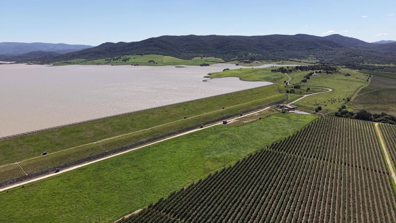 Una ripresa con drone in tracking su estese piantagioni di ulivi che conducono verso la massiccia diga di Embalse del Barbate e le colline della Spagna meridionale