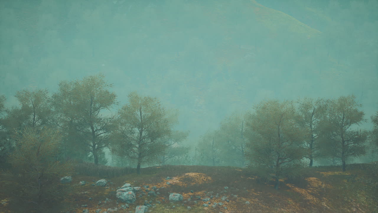 pequeños árboles verdes en las colinas en la niebla