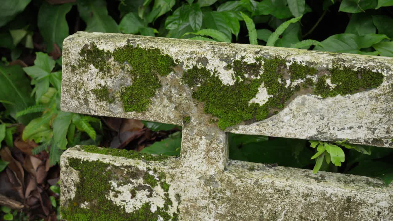 Old weather stone bench, humid environment, damp mossy green growth