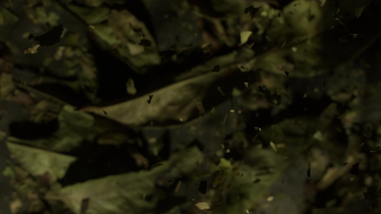 movimiento lento de las hierbas que caen sobre las hojas creando una experiencia relajante