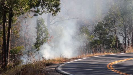 smoke from forest fire burning along side of a road in california