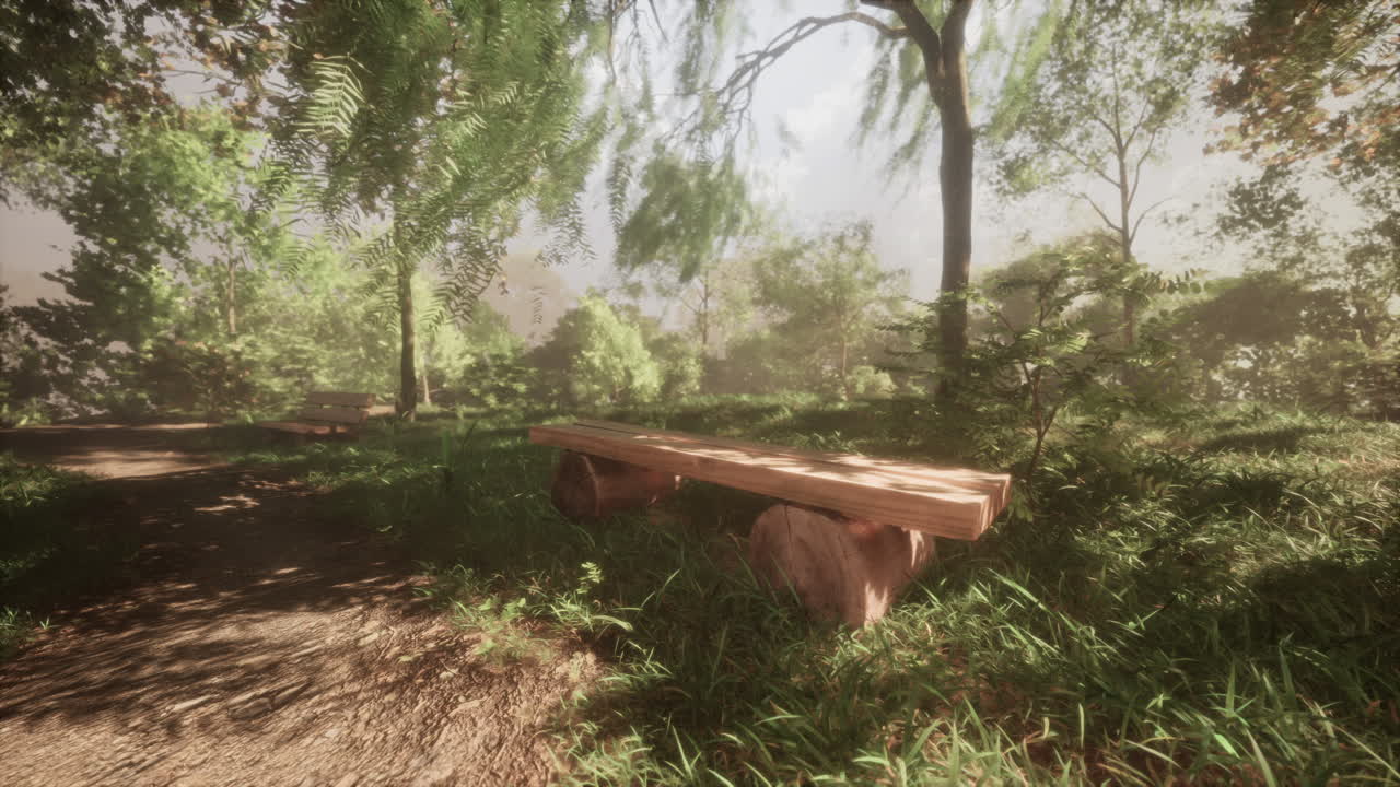 숲 속 의 나무 벤치 와 함께 평화로운 공원 장면