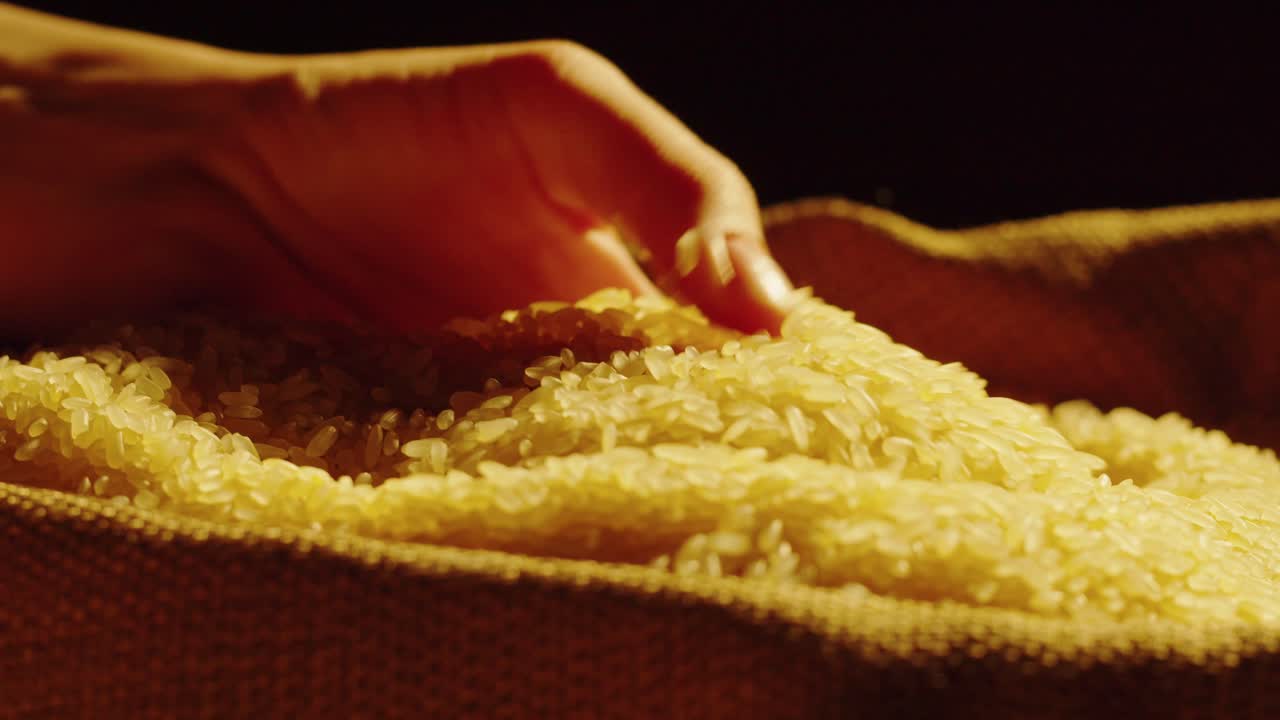 Un primo piano di una mano che versa chicchi di riso da un sacco di iuta