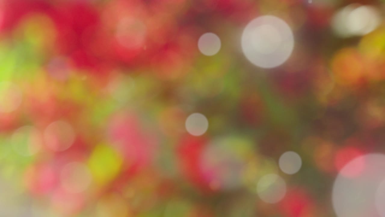 fondo de resorte abstracto con bokeh