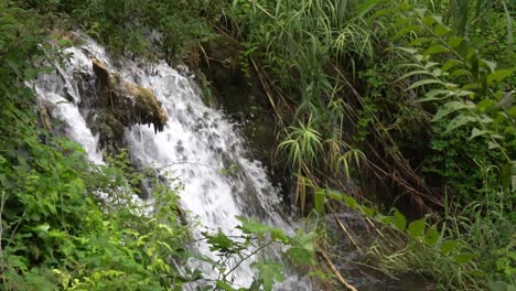 Agua-Que-Fluye-A-Través-De-Rocas-Y-Un-Tronco-De-árbol-Con-Plantas-Exuberantes-Que-Rodean-El-área-En-El-Parque-Nacional-Krka-En-Croacia-A-¼-De-Velocidad