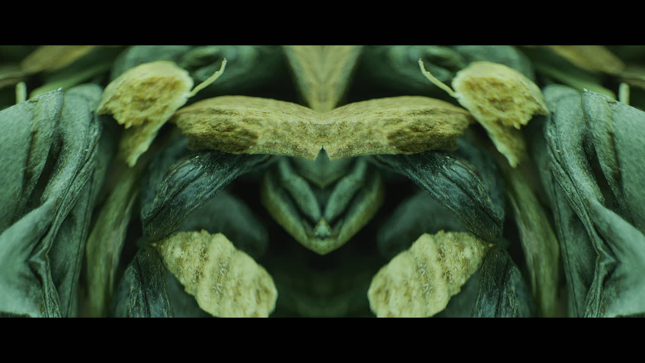 Close-up of Dried Green Tea Leaves