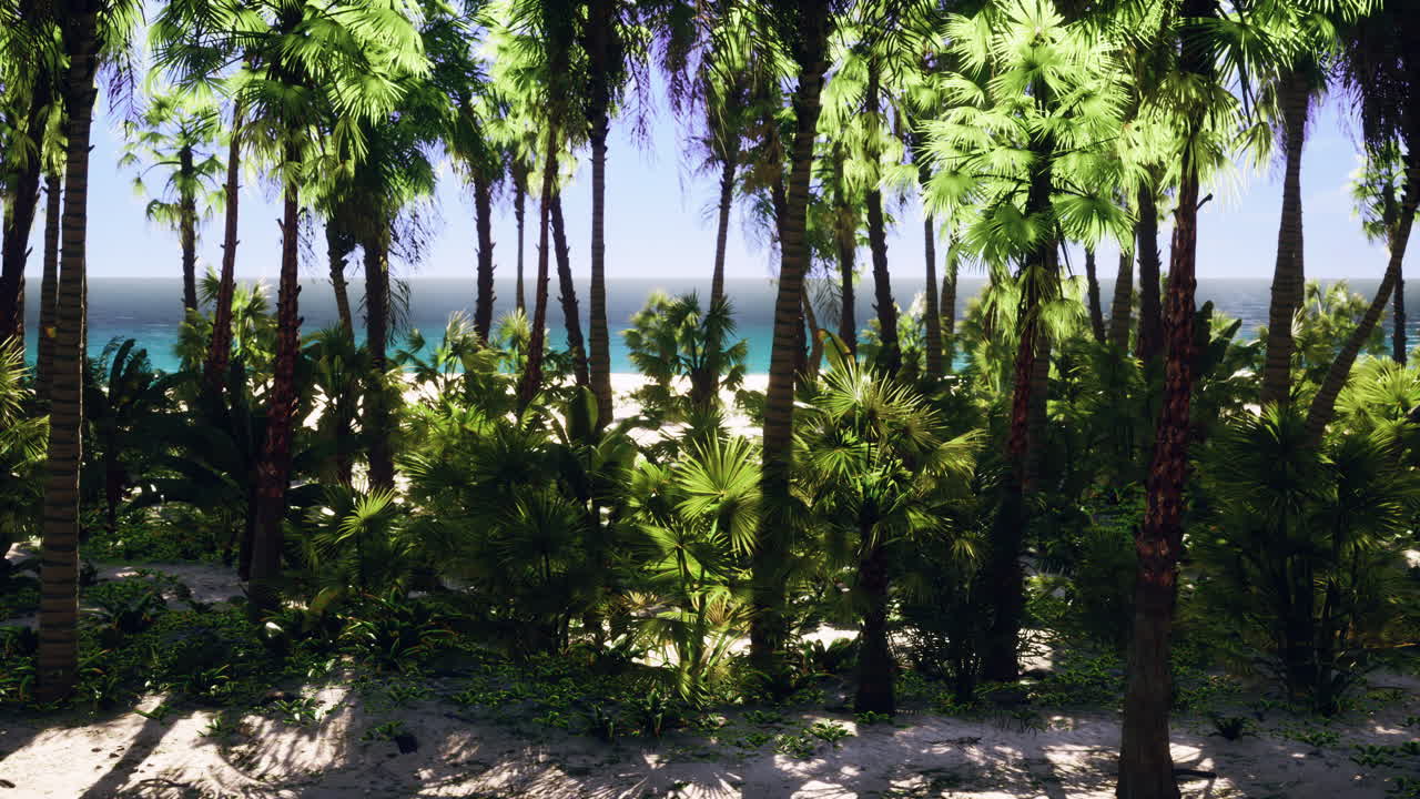 parque de la playa sur de miami con palmeras