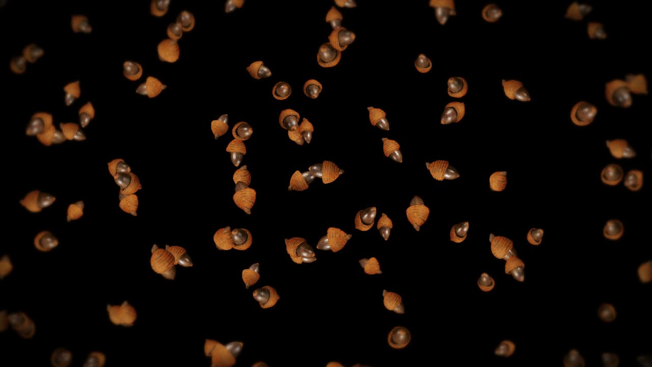volando muchas bellotas de otoño en fondo negro. símbolo de la caída, nueces de roble, regalos de la caída. animación 3d de semillas de bellota girando. animación de bucle.
