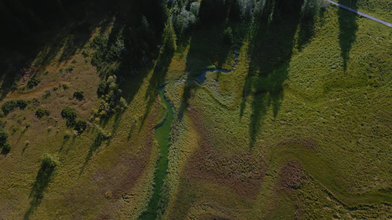 pequeño río pantanoso en el lago spitzingsee en los picos de las montañas bávaras austriacas sudelfeld wendelstein alpes con románticos y exuberantes prados de hierba verde