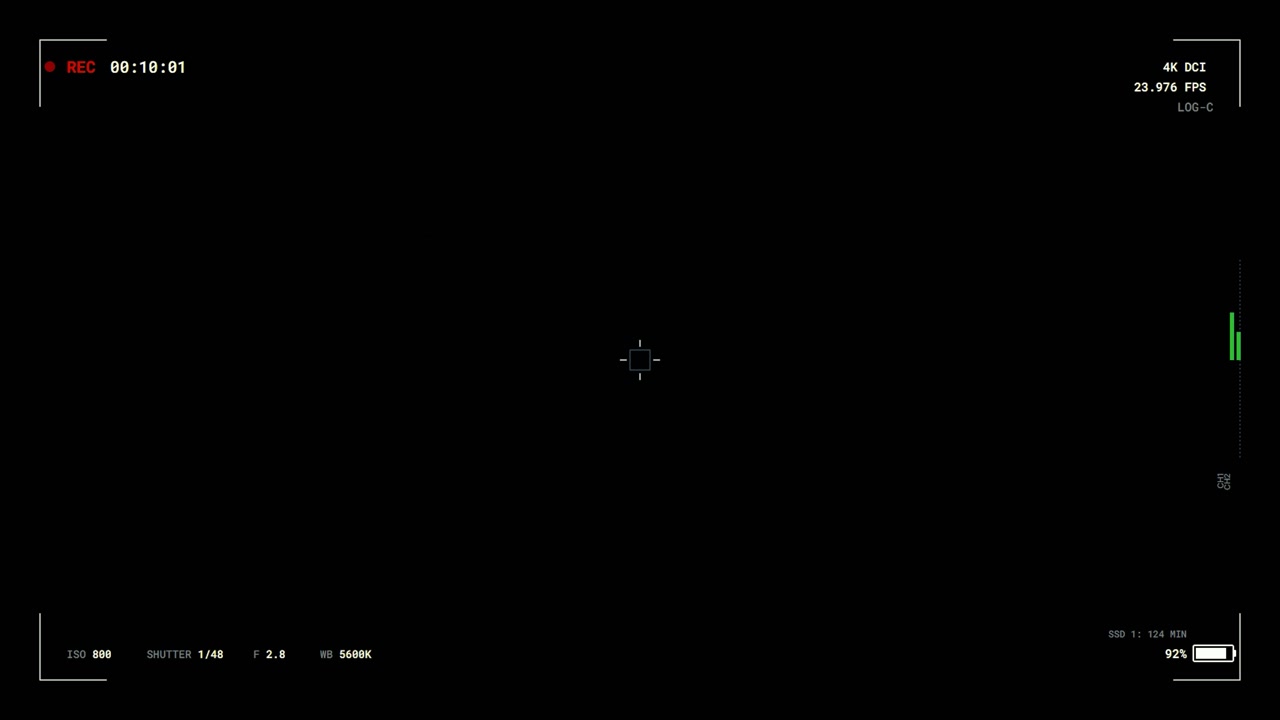 Digital Camera Viewfinder Interface Overlay